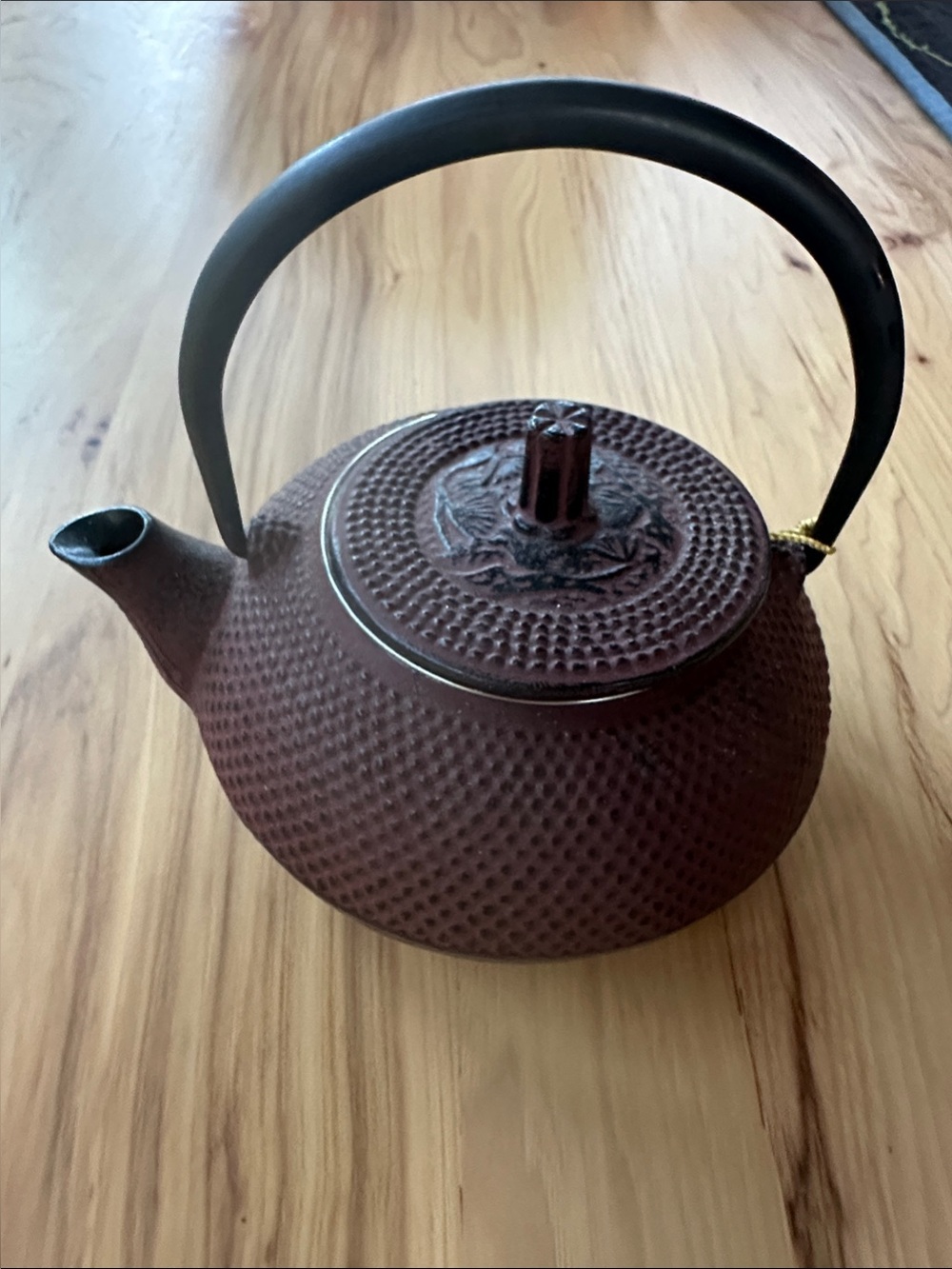 Kafuh Japanese Cast Iron Brown Tetsubin Teapot Hobnail Style with filter.  NWT
